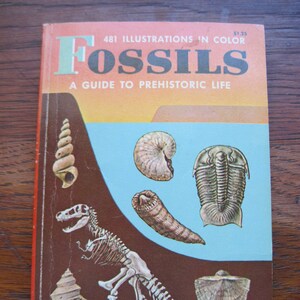 Fossils A Guide to Prehistoric Life, A Golden Nature Guide, Reference Books
