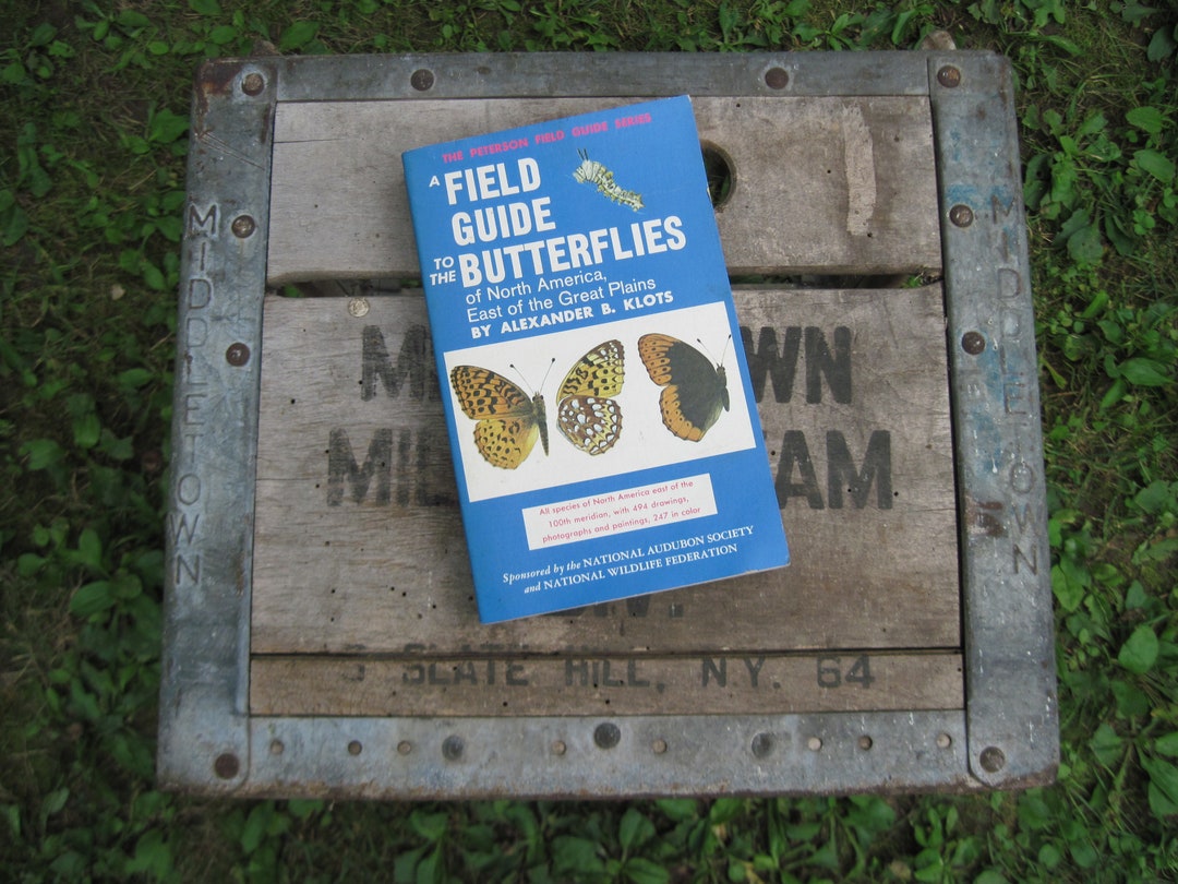 Butterfly Field Guide – Lake Erie