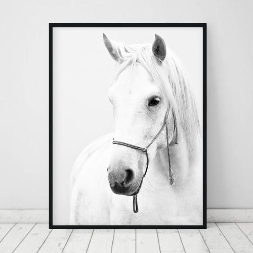 Horse Print Printable Wall Art Poster Black and White Horse | Etsy