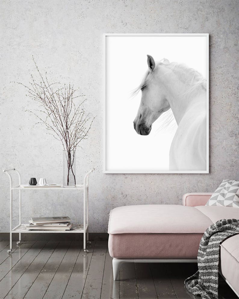 White Horse Photo Horse Printable Art Horse Art Print White | Etsy