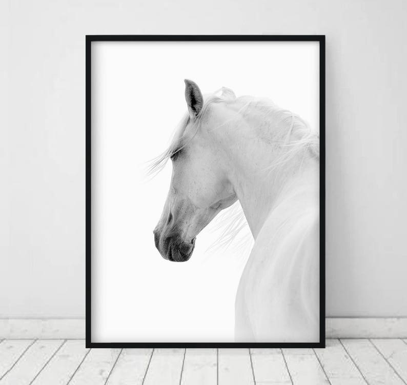 White Horse Photo Horse Printable Art Horse Art Print White Etsy