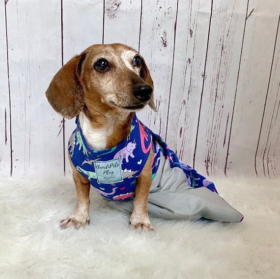 Custom Waterproof Drag Bag for Disabled Handicapped Paralyzed or Amputee Pets Etsy