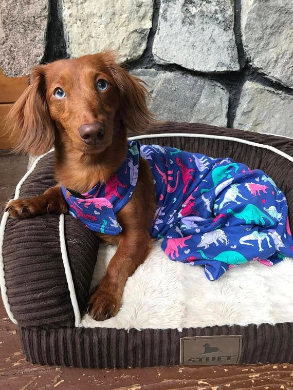 handicap dog drag bag