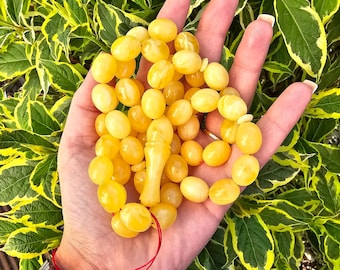 Ø +12mm Royal Baltic Amber Islamic Prayer, 54 egg shape Beads, 75.44g Rosary, Tesbih, subha, tasbih, misbaha, kehribar, pure amber, كهرمان