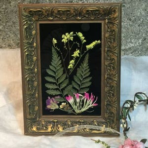 Pressed Flower Framed Art Treasure