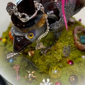 May include: A black bird wearing a top hat and a silver chain, perched on a bed of green moss with various small decorative objects.