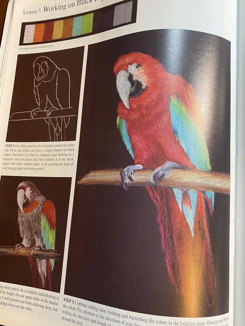 Colored Pencil Basics How to Draw Paint - Sandra Angelo - Walter Foster ...