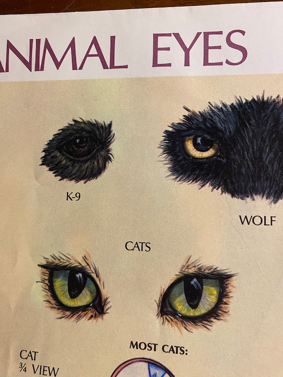 How to Paint Eyes Human Cartoon Animal Wall Chart Sharon - Etsy