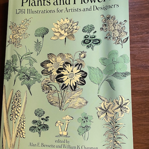 Plants Flowers Illustrations for Artists / Designers - Decorative Designs, Patterns Motifs Embroidery - A Bessette / W Chapman - Dover 1992