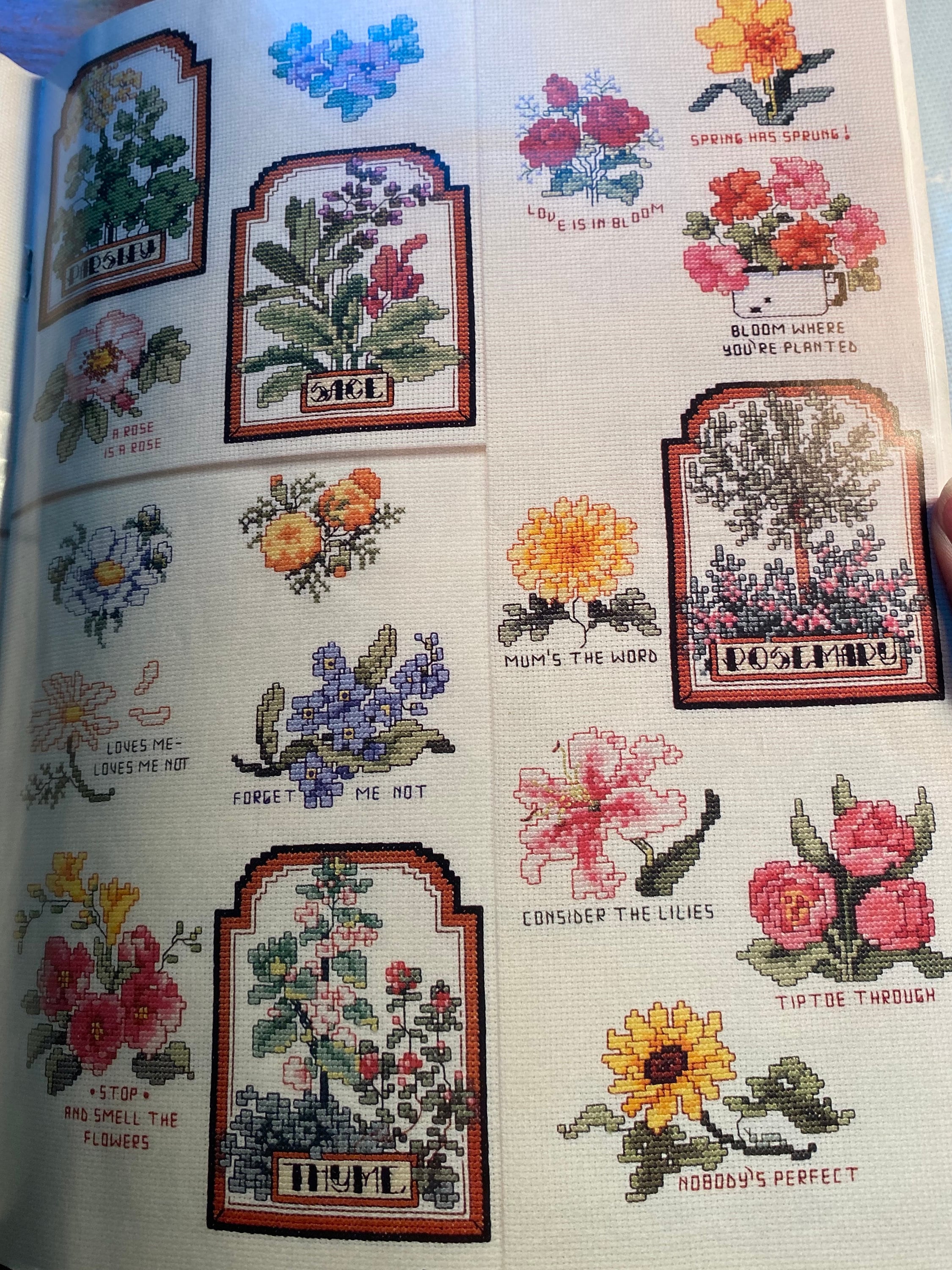 Ultimate Flower Book Cross Stitch Chart - Jorja Hernandez - 1994