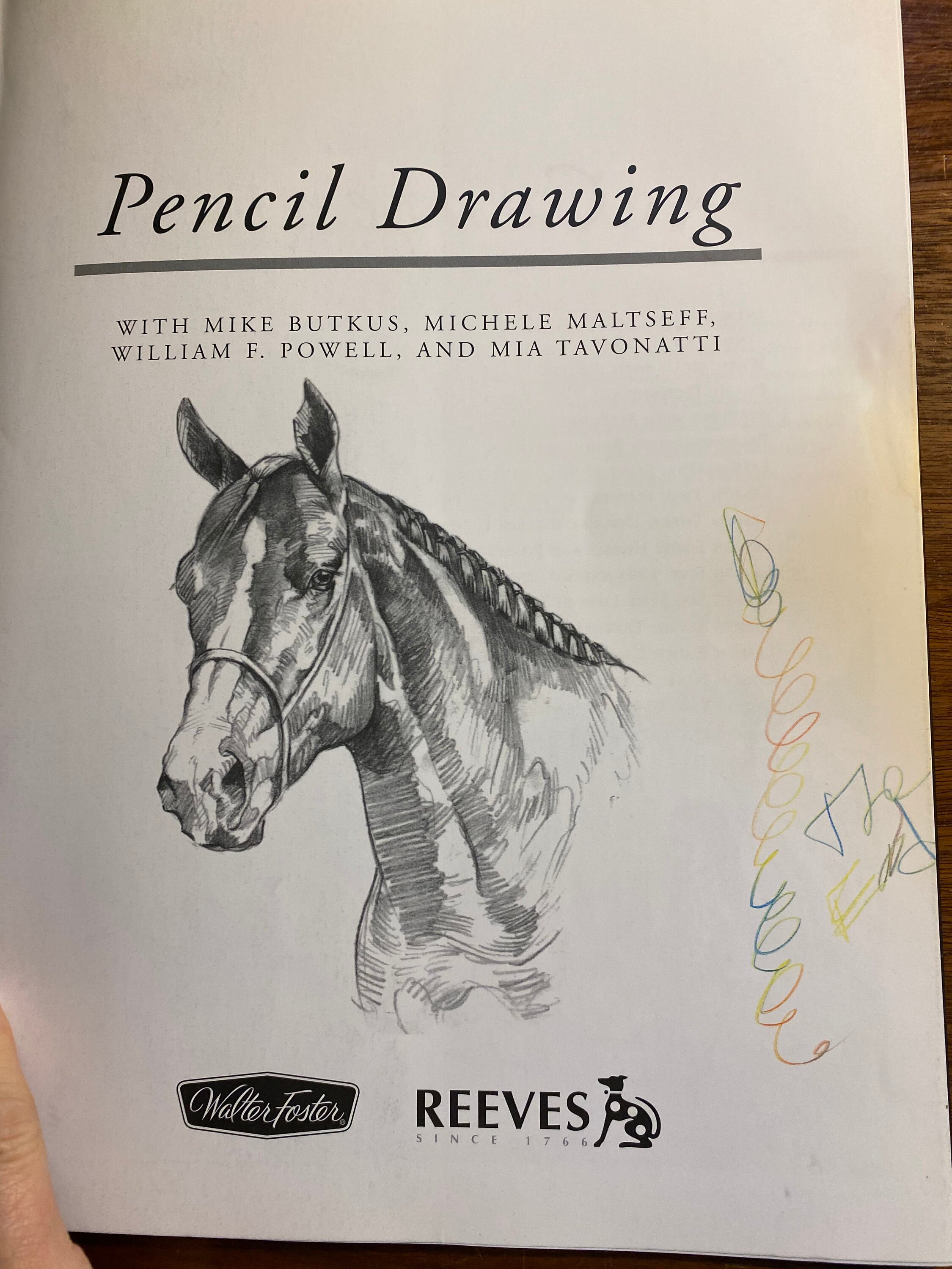 How to Draw Pencil Drawing Project Book for Beginners Etsy