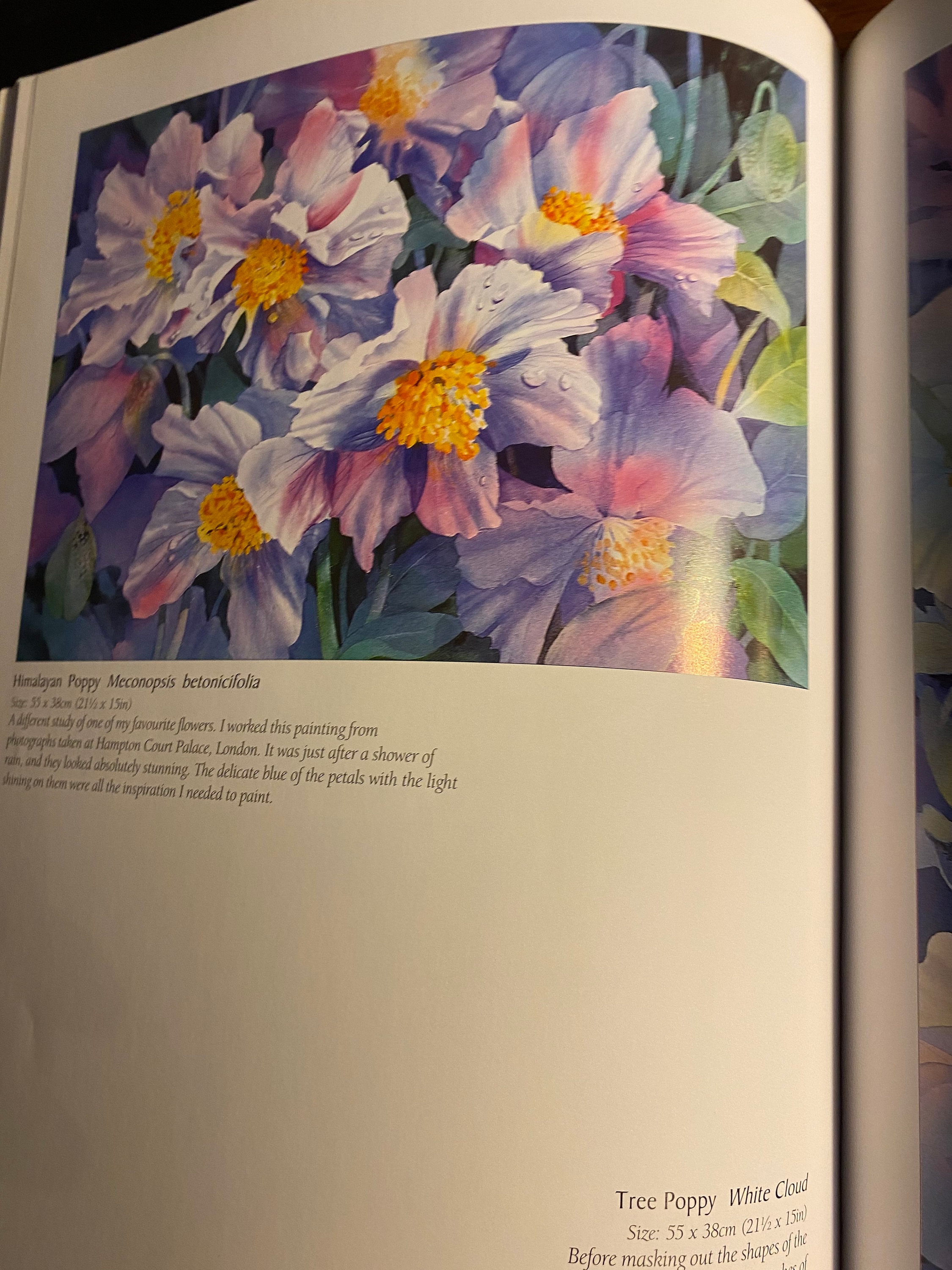 Painting Flowers & Plants - Tips Techniques - Janet Whittle - 2006