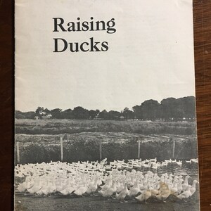 Raising Ducks - Animal Husbandry -  Home Animal Farm - Learn the Basics - Farmers Bulletin No 2215 - US Dept of Agriculture