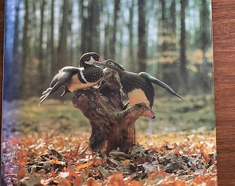Talla de aves acuáticas: Técnicas de cinta azul - William Veasey - Técnicas de pintura y tallado - 1982 - Proyecto de técnica de tallado en madera