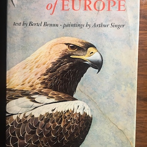 Birds of Europe - Bertel Bruun  - 1971 - Nice Guide  Color Pictures / Illustrations ) - Learn / Study Birds