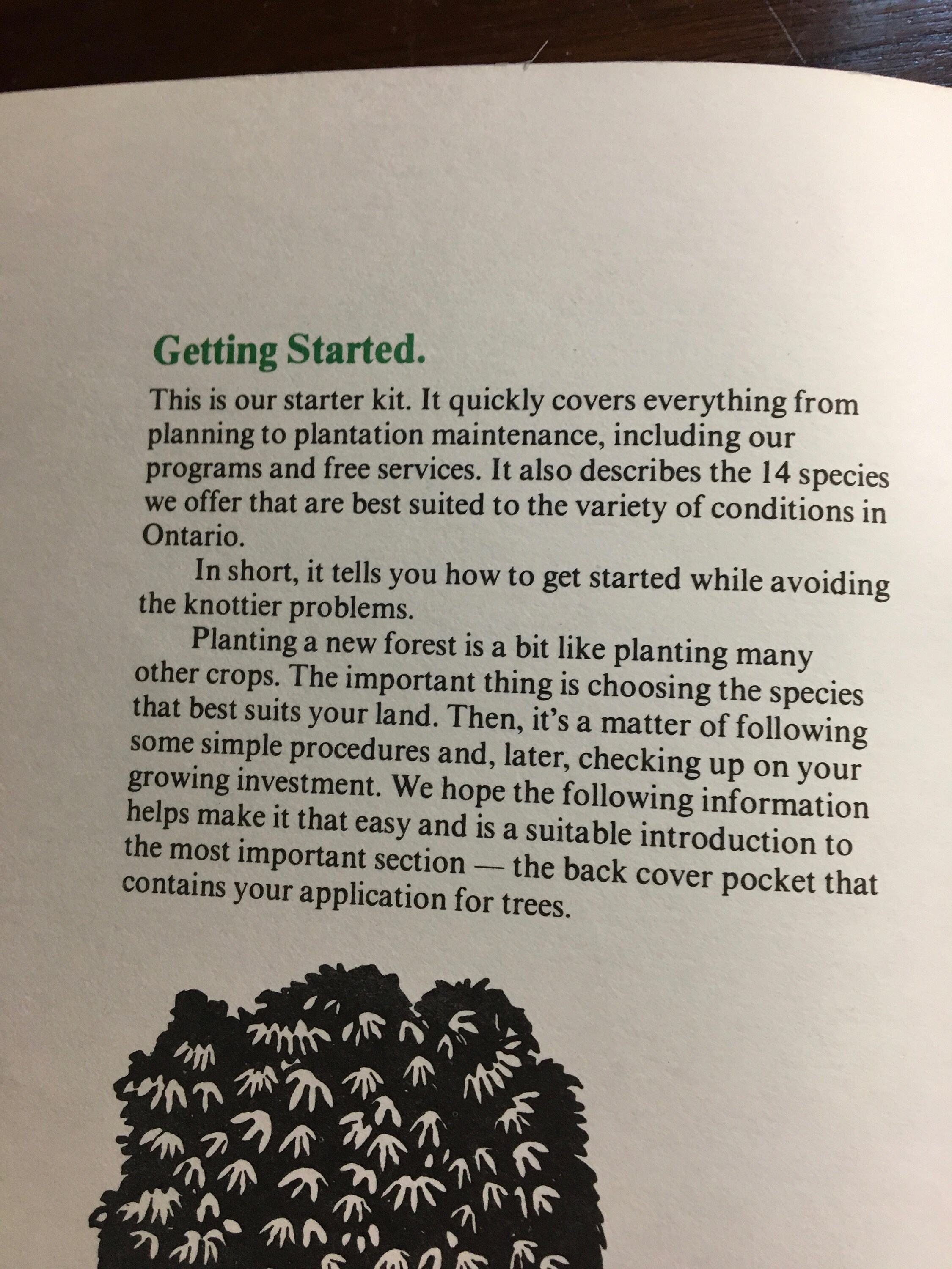 Trees - A Handy Guide for People Who Want to Put Down Roots - Learn the ...