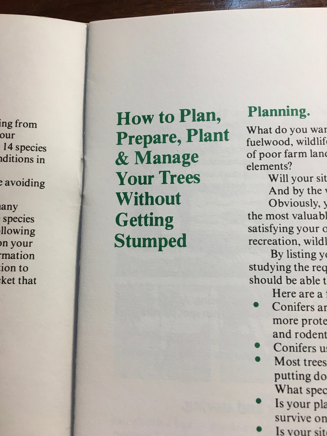 Trees - A Handy Guide for People Who Want to Put Down Roots - Learn the ...