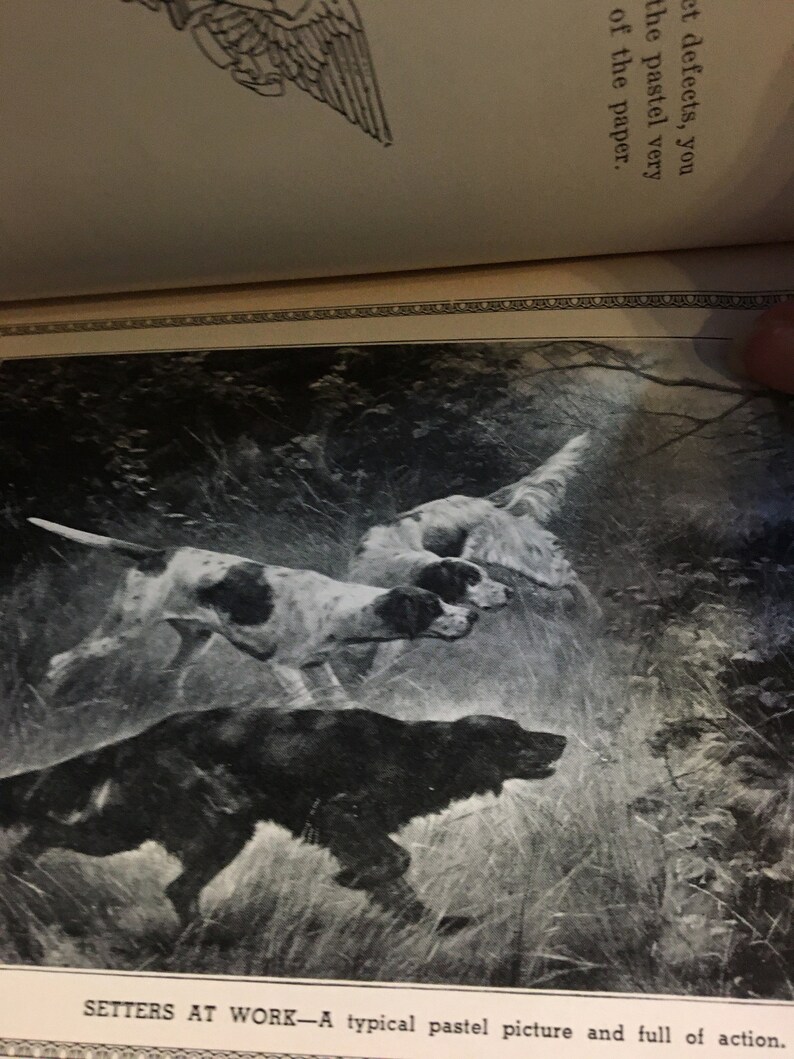 K&ouml;nnte beinhalten: Schwarzwei&szlig;foto von drei Hunden, die durch hohes Gras laufen. Die Hunde sind Setter und befinden sich in einer Jagdstellung. Die Bildunterschrift unter dem Bild lautet "SETTERS AT WORK - A typical pastel picture and full of action."
