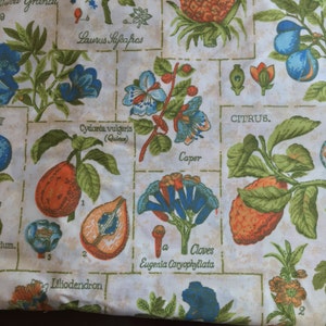 Vintage fabric piece Botanical:  Fruits and Plants with Botanical Names (Greens, Blues, Oranges)