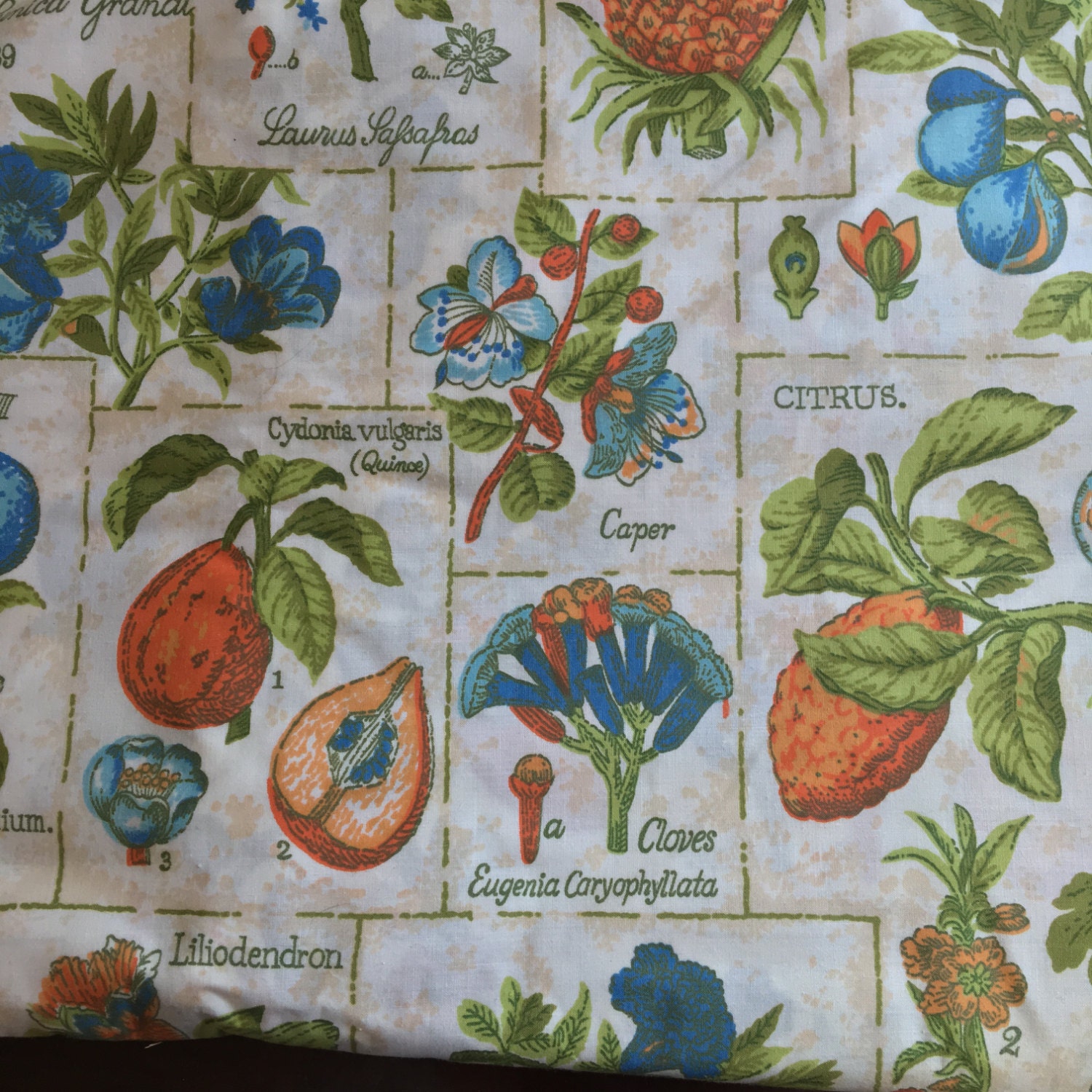 Vintage HH Fabric Decorating Fabric Sample Fruit & Plant Print 25 X 26