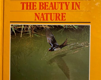 Pode incluir: Uma capa de livro amarela com o título "Capture a Beleza da Natureza" e o texto "A Biblioteca Kodak de Fotografia Criativa". A capa apresenta uma fotografia de um pássaro preto voando sobre uma lagoa verde.