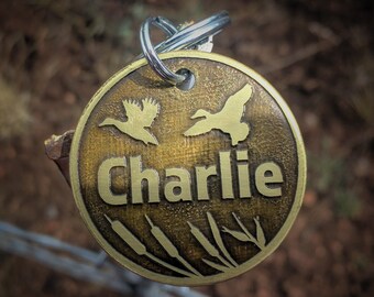 3 week old ragdoll kittens