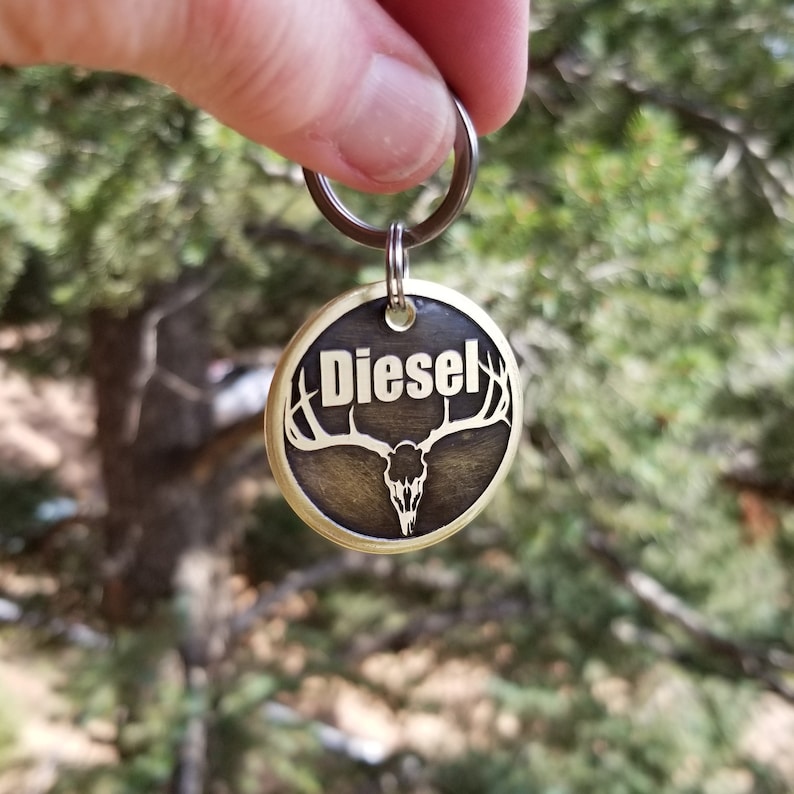 May include: Brass dog tag with a deer skull and antlers design. The tag is engraved with the name "Diesel".