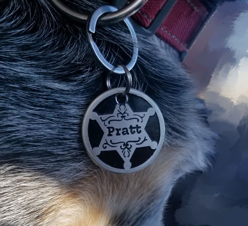 May include: A silver dog tag with a black star and the name "Pratt" inscribed on it.