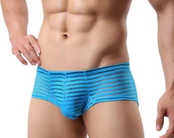 See through, mesh, briefs, lingerie for men,