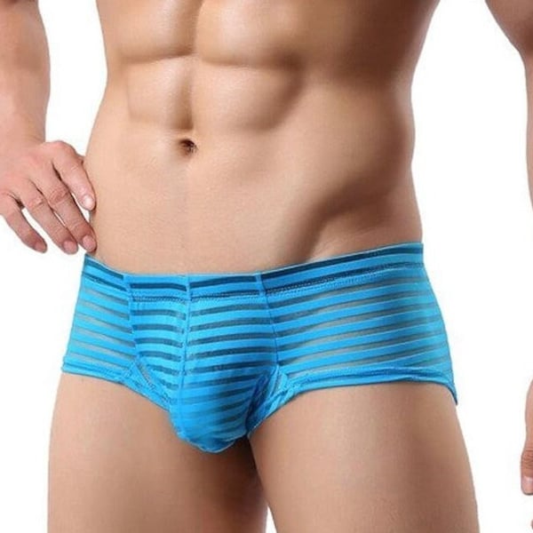 See through, mesh, briefs, lingerie for men,