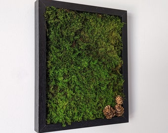 Moss Wall Art | Preserved Moss Art