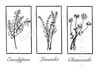 Essential oil art print. Chamomile eucalyptus and lavender. Print and SVG file