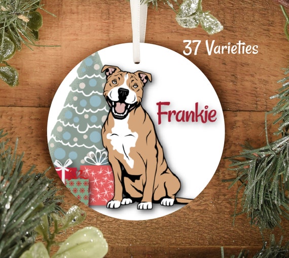Brindle tri color pitbull 2025