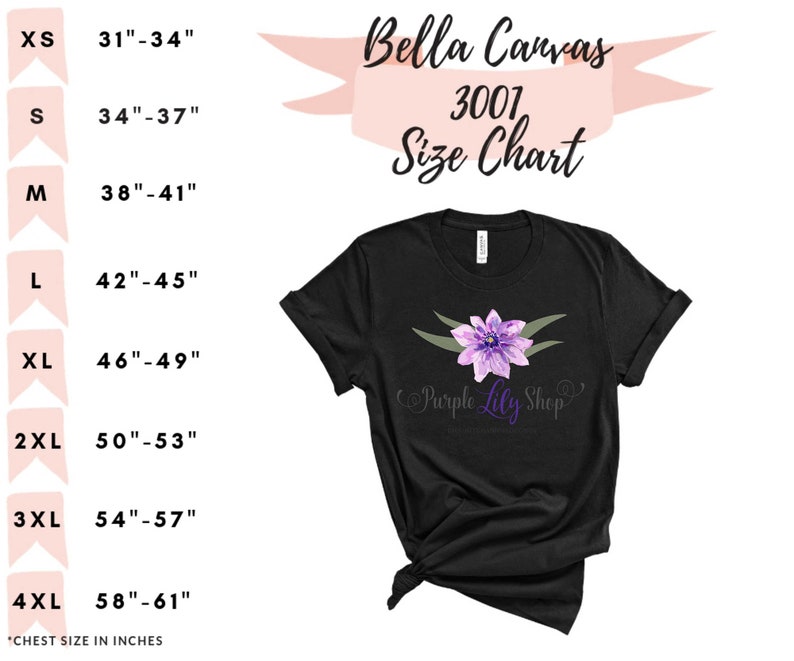 Pu&ograve; includere: Tabella delle taglie Bella Canvas 3001 per t-shirt, che mostra le misure del petto in pollici da XS (31-34 pollici) a 4XL (58-61 pollici).