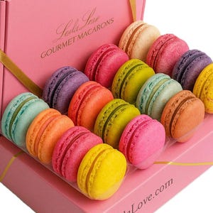 LeilaLove Mademoiselle Paris 15 Gourmet Macarons