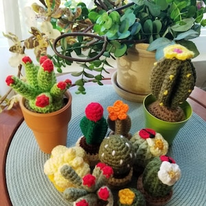 Crochet mini succulent / cactus / plant