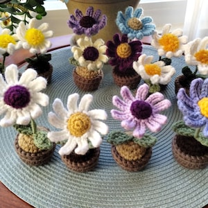 Crochet Daisy Flower in a Pot