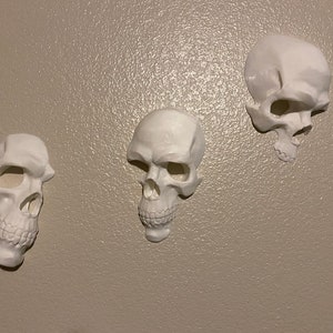 Skulls Wall Decor Skeleton White Skull Wall Art Wall Hanging Skulls 3D Printed Human Skull Décor Skull Gothic Décor Halloween