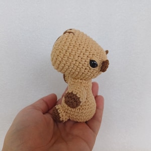 Crochet cute capybara Capibara Amigurumi Crochet Capybara Gifts Gifts for Capybara Lovers