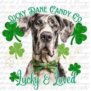 Peut inclure: Un grand danois avec un nœud papillon et un collier verts, entouré de trèfles verts. L'image comprend le texte "Sucky Dane Candy Co" et "Lucky & Loved" en vert, parfait pour la Saint-Patrick.