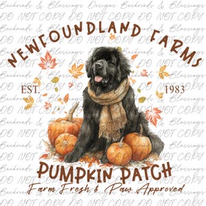 May include: A digital illustration featuring a black Newfoundland dog wearing a scarf, surrounded by pumpkins and autumn leaves. The text reads "Newfoundland Farms Pumpkin Patch" with "Est. 1983".
