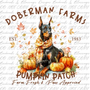 Puede incluir: Ilustración en acuarela de un Doberman Pinscher con bufanda, rodeado de calabazas y hojas de otoño. El texto dice "Doberman Farms Pumpkin Patch" y "Farm Fresh & Paw Approved."