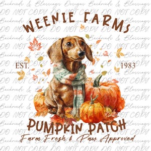 May include: A digital illustration featuring a dachshund wearing a scarf, surrounded by pumpkins and autumn leaves. The text reads "Weenie Farms Pumpkin Patch" with "Farm Fresh & Paw Approved" below. Established 1983.