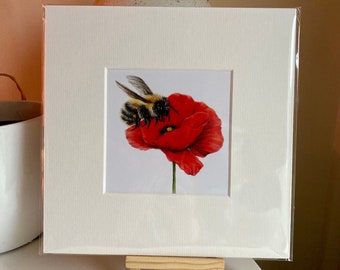 Bee and Poppy, Mounted Square Print 8”x8” British Wildlife Coloured Pencil Drawing