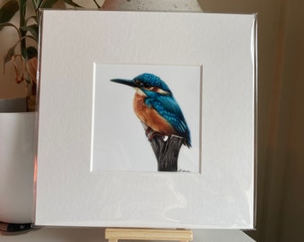 Kingfisher Mounted Square Print 8”x8” British Wildlife Coloured Pencil Drawing