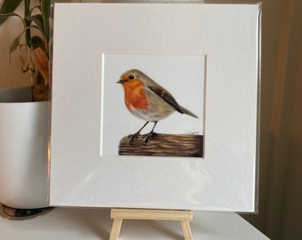 Robin Mounted Square Print 8”x8” British Wildlife Coloured Pencil Drawing