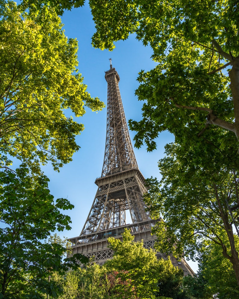 Eiffel Tower through the Trees image 1