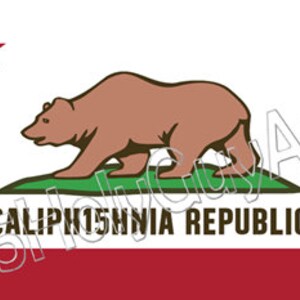 May include: The official flag of the State of California, featuring a red star, a brown grizzly bear walking on a green field, and the words "CALIFORNIA REPUBLIC" in white text on a red background.