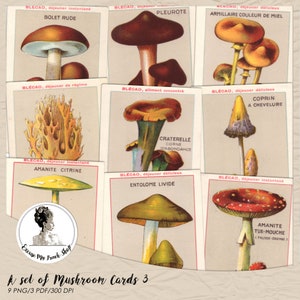 Cartes champignon numériques x 9 | Amoureux des plantes à imprimer | Illustrations de champignons à télécharger | Botanique vintage numérique