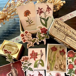 Stickers rode bloemen | Botanisch stickerpakket voor scrapbooking | Kleurrijke bloemenstickers | Handgemaakte stickers met esthetische bloemenillustratie